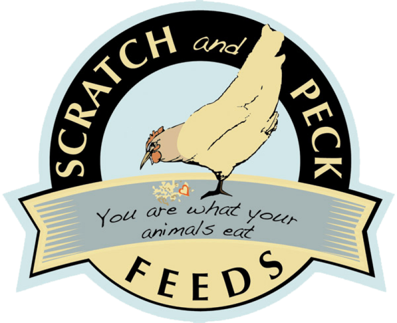 Scratch and Peck